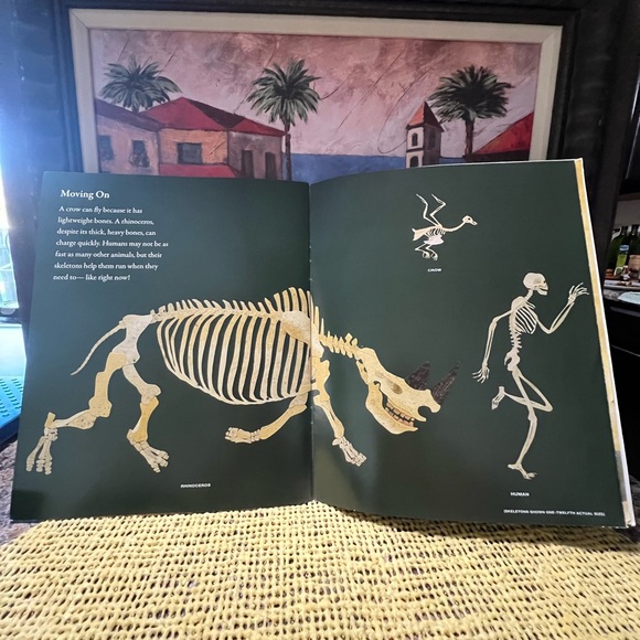 Bones By: Steve Jenkins. - Picture 3 of 7